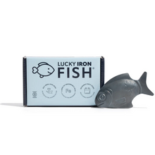 Lucky iron fish